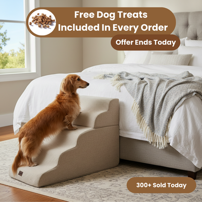 Comfort Climb - Dog Stairs