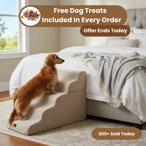 Comfort Climb - Dog Stairs